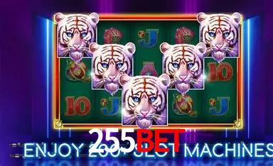 255bet: A Experiência de Casino com Jogos de Mesa ao Vivo